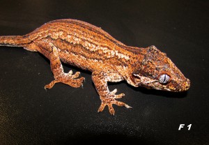 img_6431.jpg
