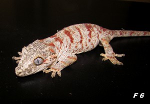 img_6463.jpg