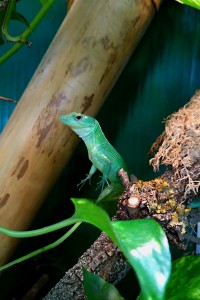 img_20170509_153030.jpg