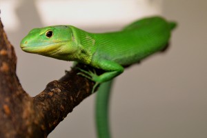dsc_0434.jpg