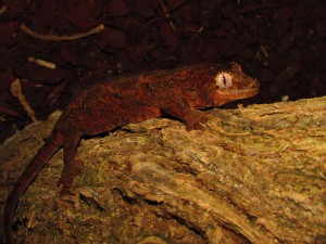 img_4790.jpg