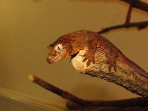 img_4808.jpg