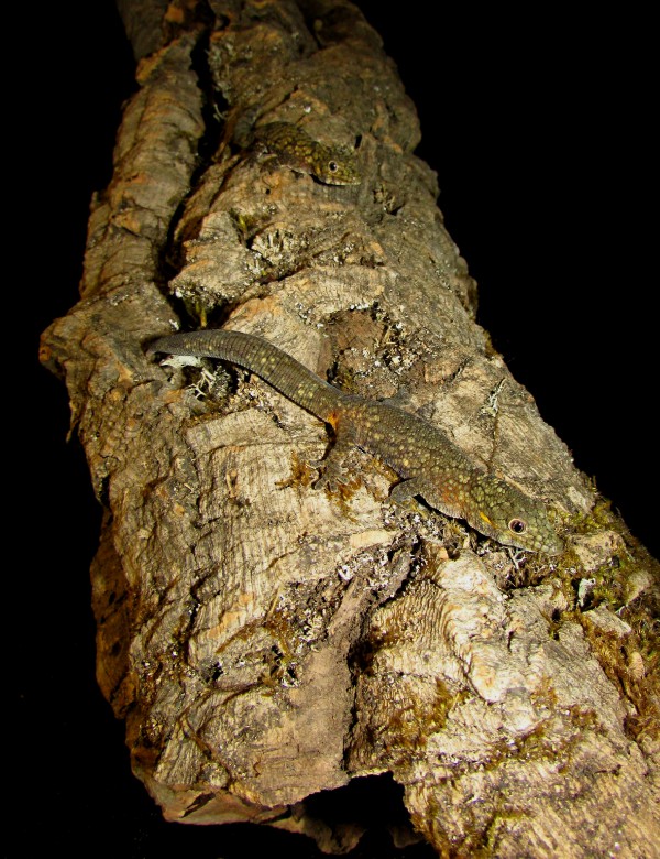 img_8817.jpg