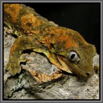 img_8930.jpg