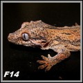 img_6526.jpg