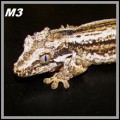 img_6479.jpg