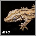 img_6593.jpg